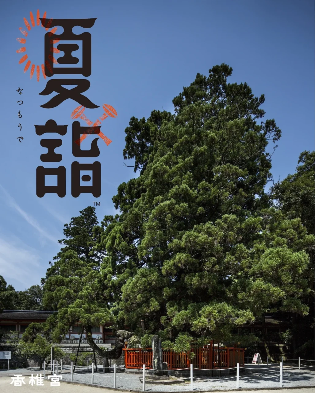 雞石神社標誌牌與巨大綠樹並立，湛藍天空下白色圍欄環繞樹根。