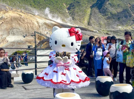 自然研究路步道與山谷地表噴氣孔,地熱景象與步道路線清晰可見。