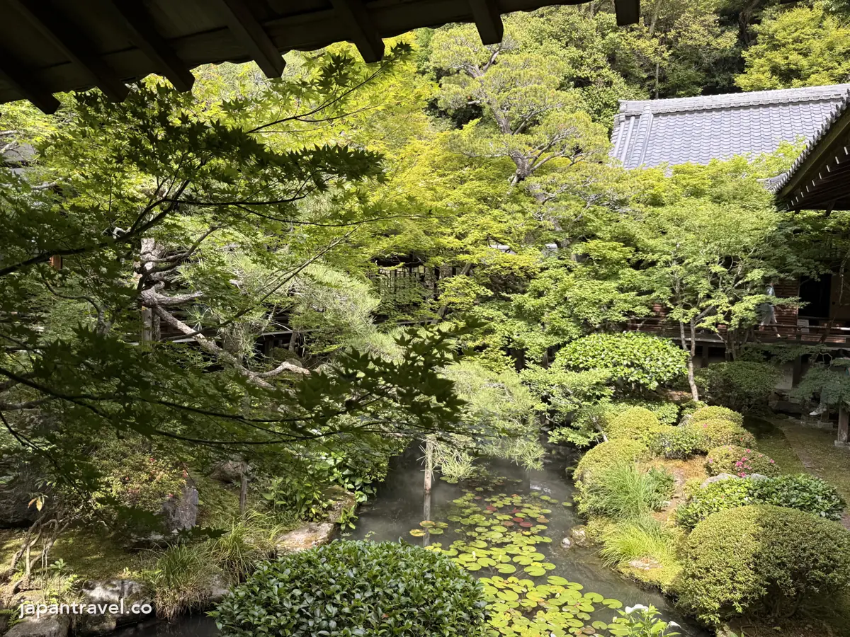 永觀堂迴廊外的池泉庭園