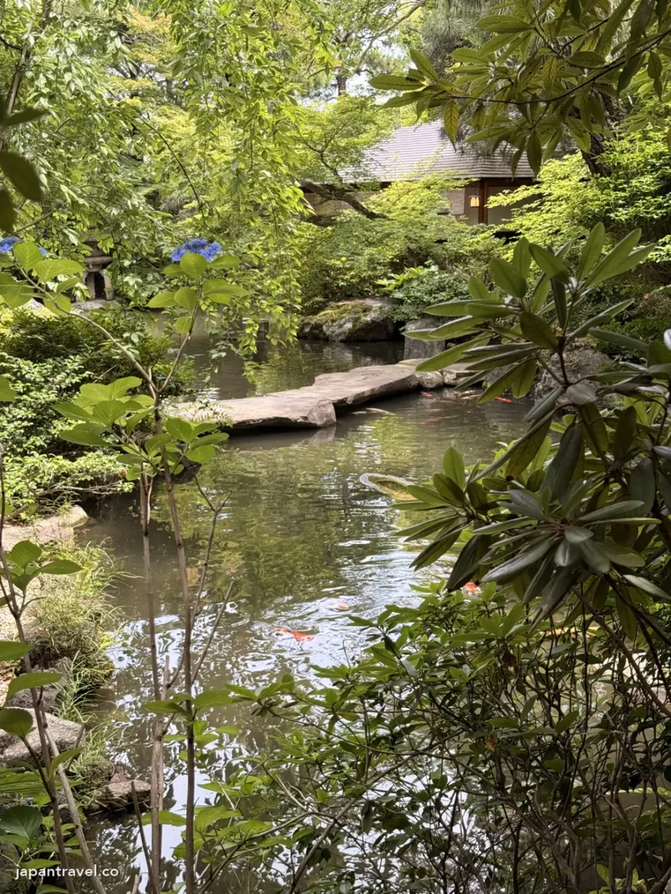 FUFU京都庭園的水池