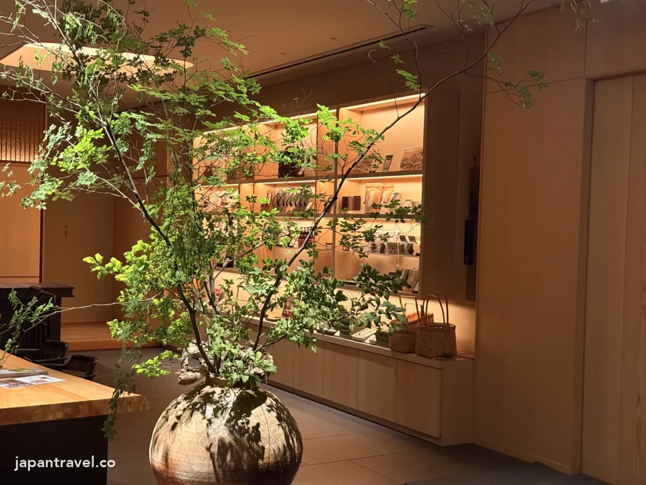 ふふ京都大堂的綠植與商店