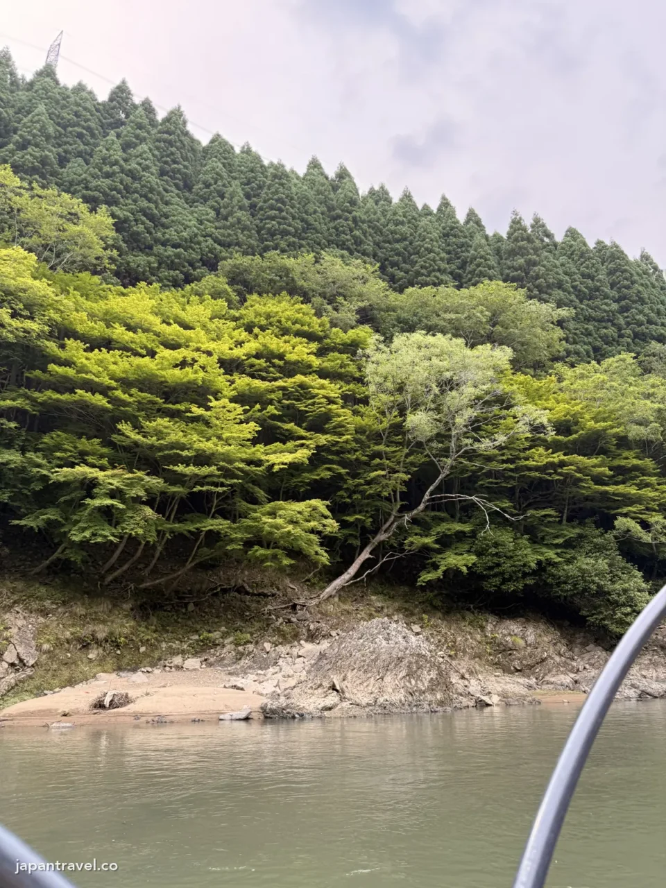 從保津川遊船上看6月翠綠的保津峽