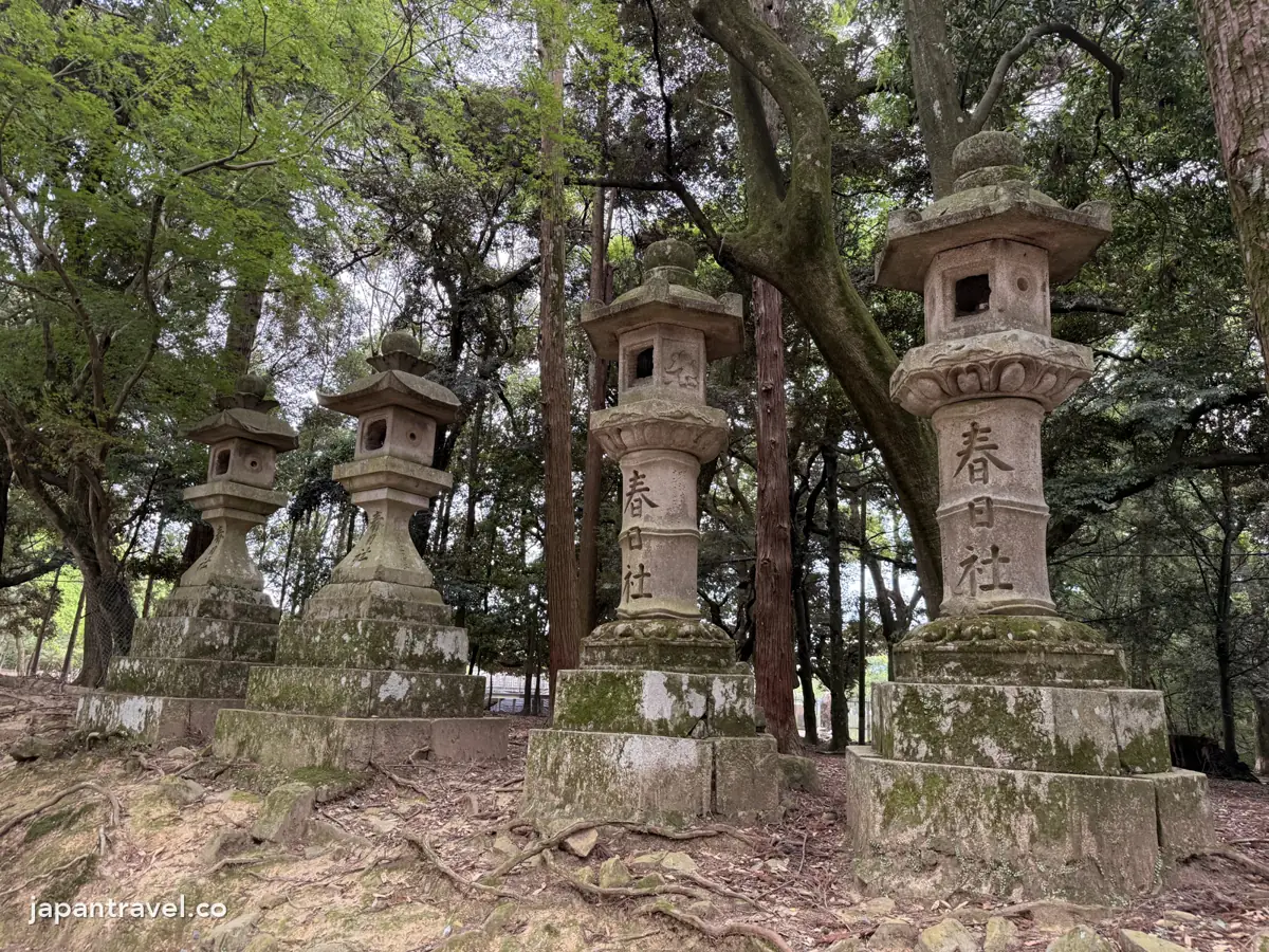 春日大社參道兩旁的石燈籠