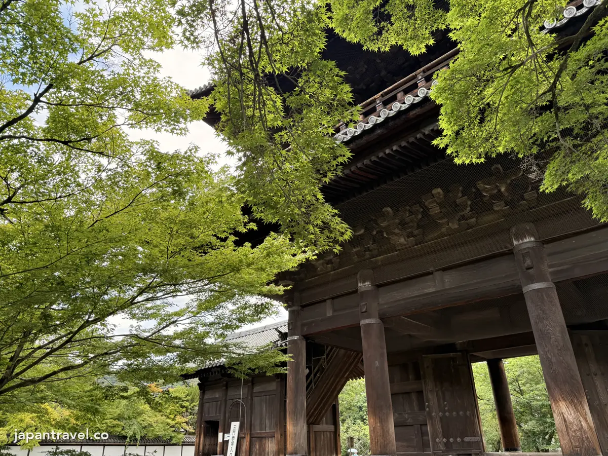 青楓中的南禪寺三門