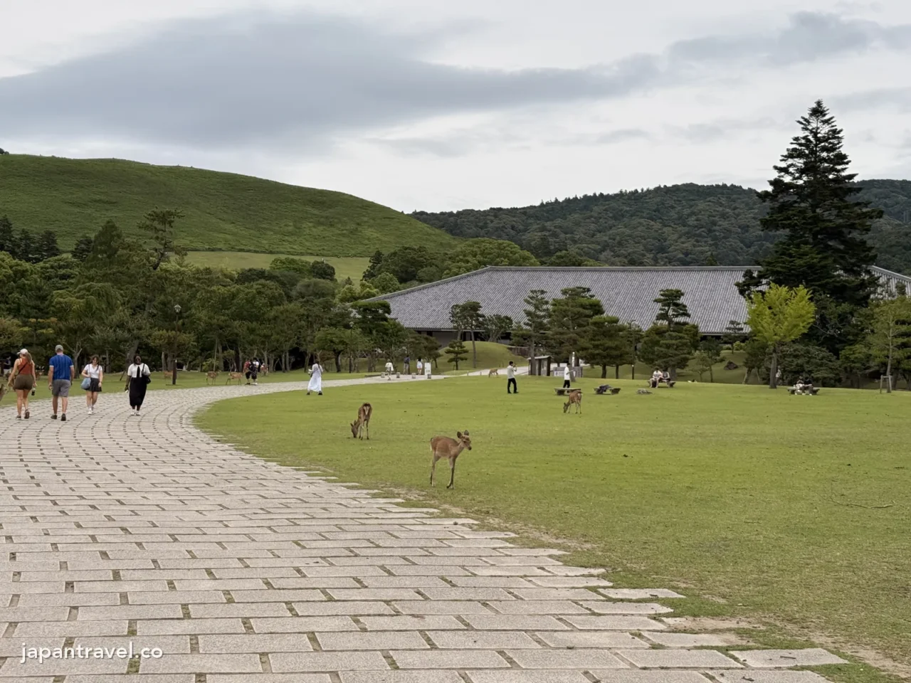 往若草山方向的奈良公園草地步道