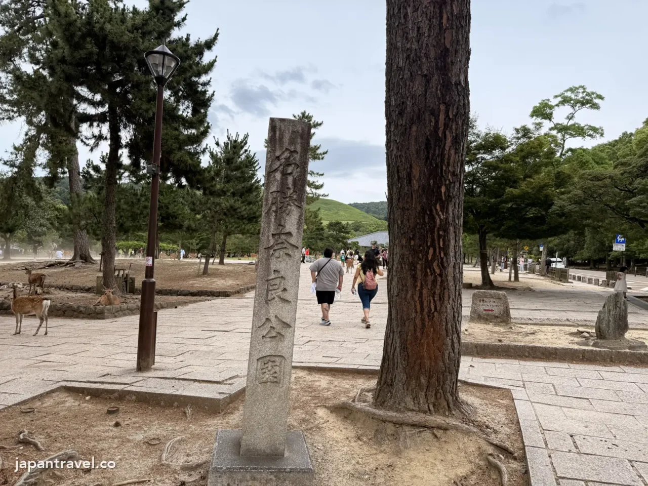名勝奈良公園的石碑