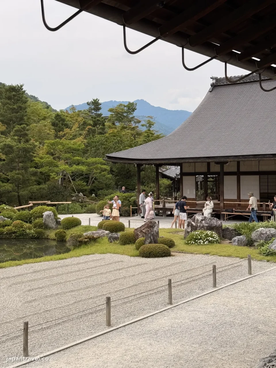 天龍寺庭園一角，6月一片新綠