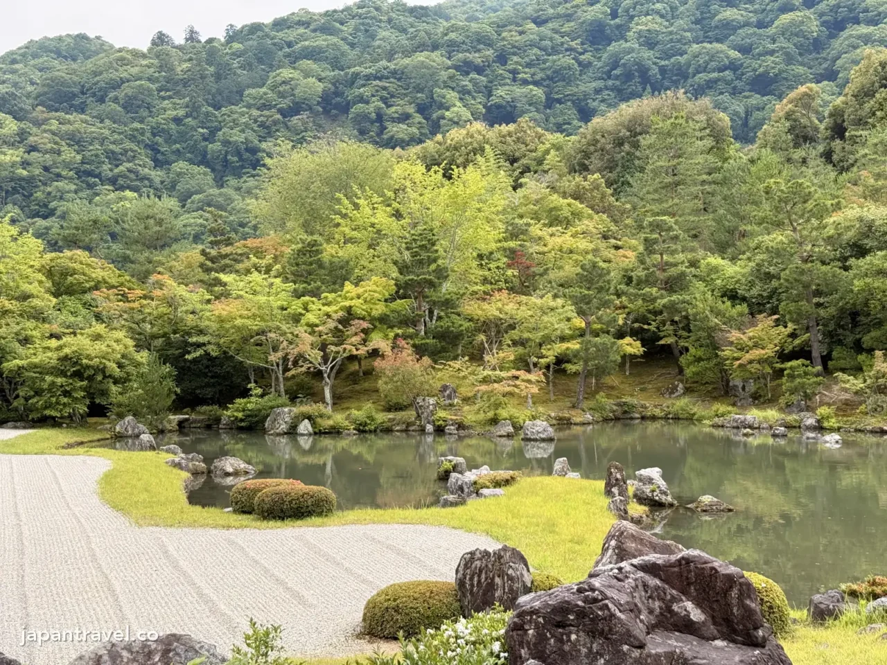 天龍寺曹源池庭園6月的新綠