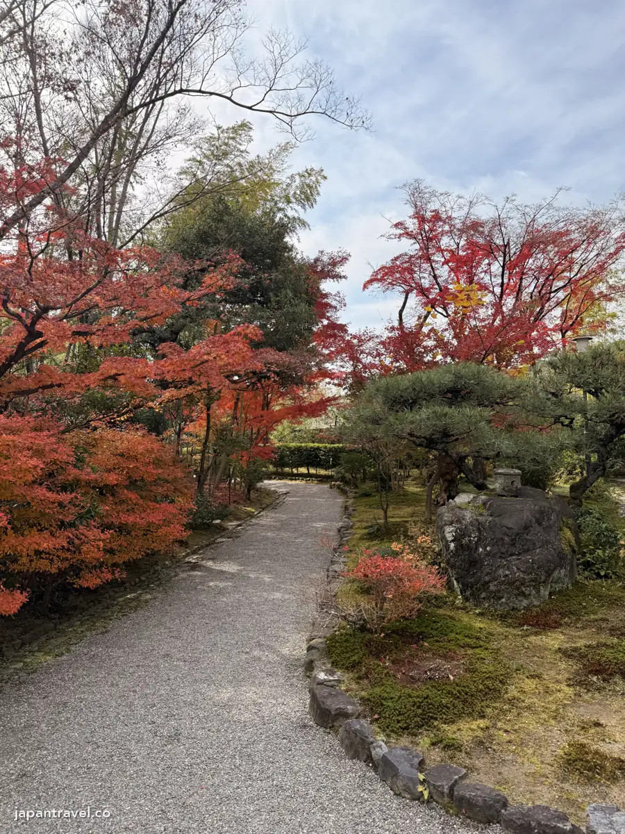 犬山有樂苑2025年12月的紅葉小徑
