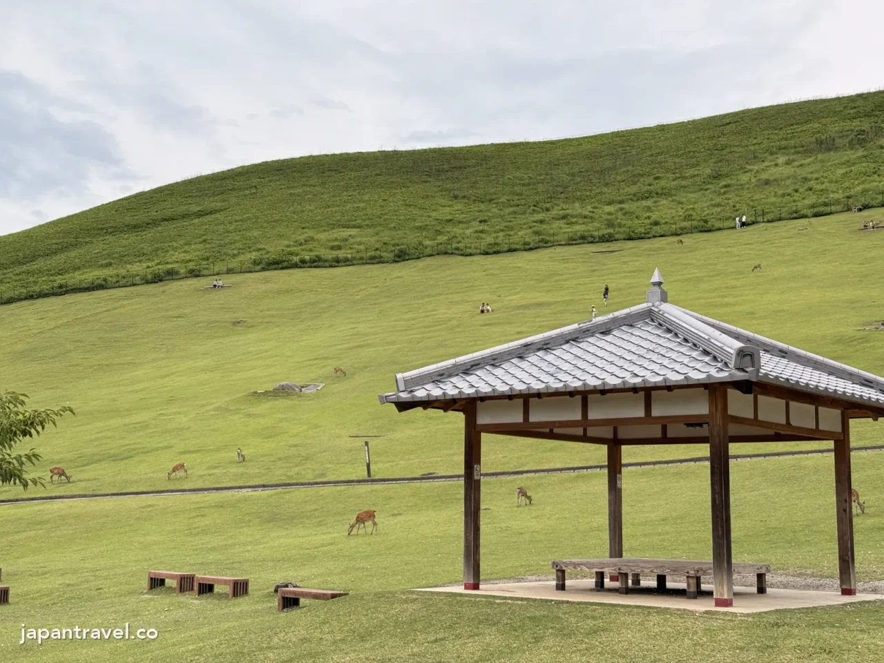 若草山山腳的草地與涼亭