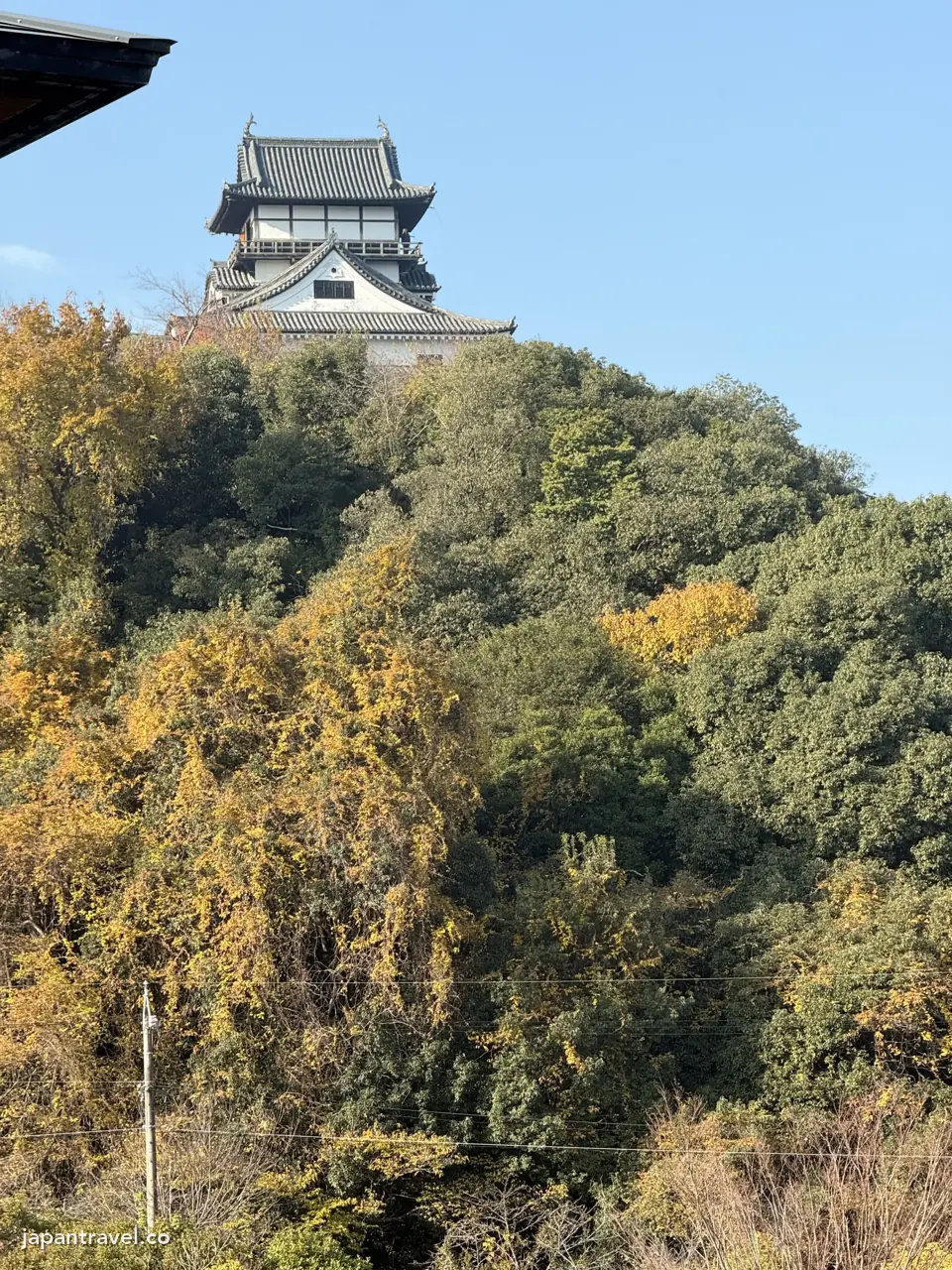 從犬山英迪格酒店望犬山城天守與12月的山坡樹色